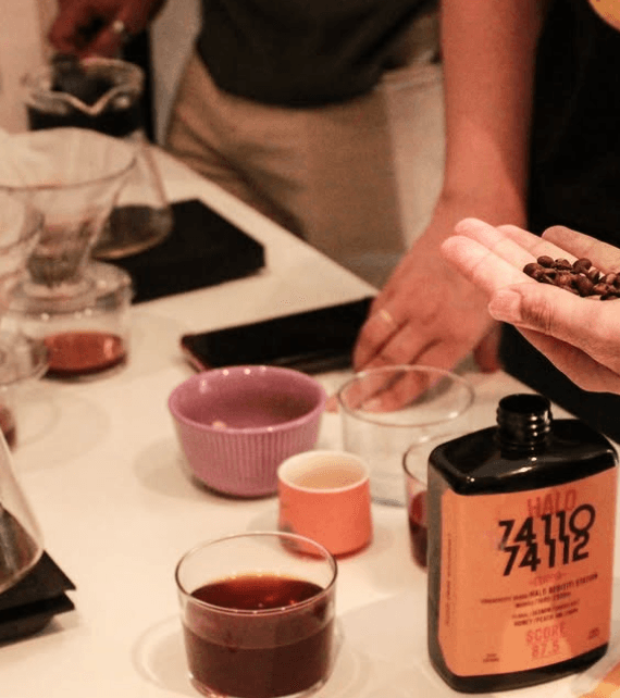 Cata de café - Roasters Session